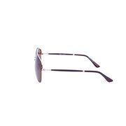 Ochelari de soare maro, pentru barbati, Daniel Klein Premium, DK3057-6