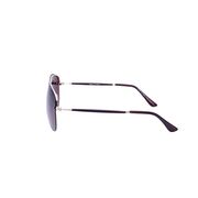 Ochelari de soare maro, pentru barbati, Daniel Klein Premium, DK3057-2