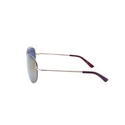 Ochelari de soare maro, pentru barbati, Daniel Klein Premium, DK3164-3