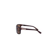 Ochelari de soare maro, pentru barbati, Daniel Klein Premium, DK3172-3