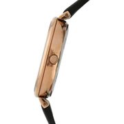 Ceas Daniel Klein Fiord DK11729-7