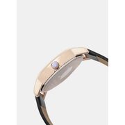 Ceas Daniel Klein Premium DK11848-3