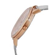 Ceas Daniel Klein Trendy DK.1.12403.6