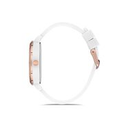 Ceas Daniel Klein Dkln DK.1.12650.1