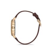 Ceas Daniel Klein Premium DK.1.12533.2