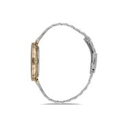 Ceas Daniel Klein Premium DK.1.12534.5