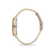 Ceas Daniel Klein Premium DK.1.12538.3