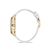 Ceas Daniel Klein Premium DK.1.12562.3