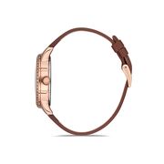 Ceas Daniel Klein Premium DK.1.12562.4