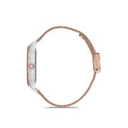 Ceas Daniel Klein Premium DK.1.12614.4