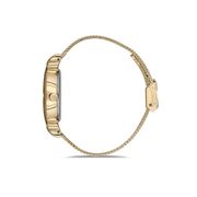 Ceas Daniel Klein Trendy DK.1.12554.3