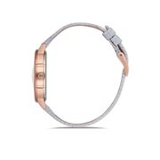 Ceas Daniel Klein Trendy DK.1.12643.5