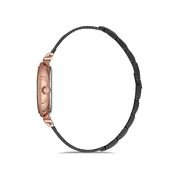 Ceas Freelook Eiffel FL.1.10133.6