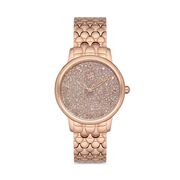 Ceas Santa Barbara Polo Unique SB.1.10127.2