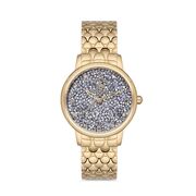 Ceas Santa Barbara Polo Unique SB.1.10127.3