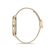 Ceas Daniel Klein Premium DK.1.12724.6