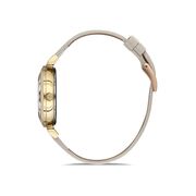 Ceas Daniel Klein Premium DK.1.12691.5