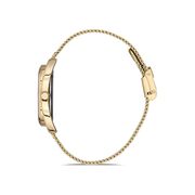 Ceas Daniel Klein Premium DK.1.12695.2