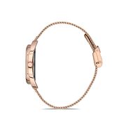 Ceas Daniel Klein Premium DK.1.12695.3