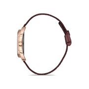 Ceas Daniel Klein Premium DK.1.12695.5