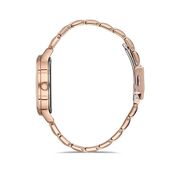 Ceas Daniel Klein Premium DK.1.12705.2