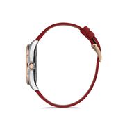 Ceas Daniel Klein Premium DK.1.12720.2