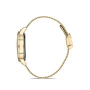 Ceas Daniel Klein Trendy DK.1.12690.3