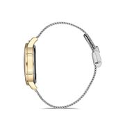 Ceas Daniel Klein Trendy DK.1.12690.6