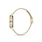 Ceas Daniel Klein Trendy DK.1.12700.3