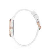 Ceas Daniel Klein Dkln DK.1.12767.2