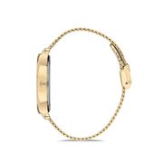 Ceas Daniel Klein Fiord DK.1.12748.1