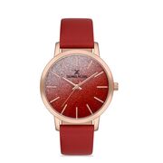 Ceas Daniel Klein Premium DK.1.12760.3