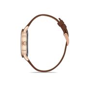 Ceas Daniel Klein Premium DK.1.12760.5