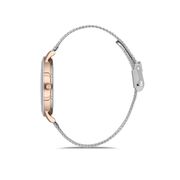 Ceas Freelook Eiffel FL.1.10143.4