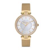 Ceas Freelook Lumiere FL.1.10153.2