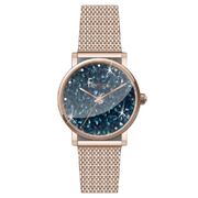 Ceas Freelook Lumiere FL.2.10158.2