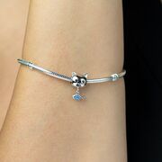 Talisman argint pisica si pestisor