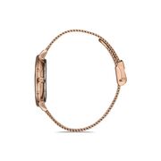 Ceas Daniel Klein Premium DK.1.12809.4