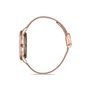 Ceas Daniel Klein Premium DK.1.12834.2