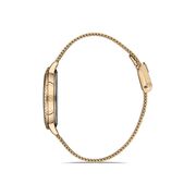 Ceas Daniel Klein Premium DK.1.12858.6