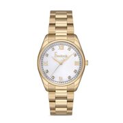 Ceas Freelook Eiffel FL.1.10222.4