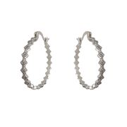 Cercei argint rotunzi deosebiti Leila