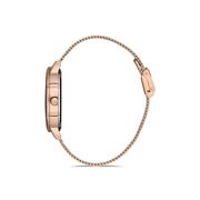 Ceas Daniel Klein Premium DK.1.12894.2