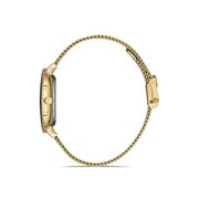 Ceas Daniel Klein Premium DK.1.12897.6