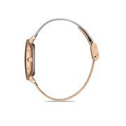 Ceas Daniel Klein Premium DK.1.12899.4