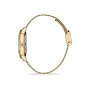 Ceas Daniel Klein Premium DK.1.12901.5