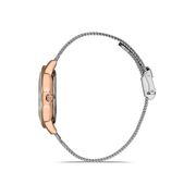 Ceas Daniel Klein Premium DK.1.12901.6