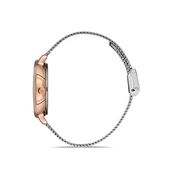 Ceas Daniel Klein Premium DK.1.12907.4