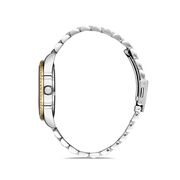 Ceas Daniel Klein Premium DK.1.12909.5