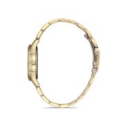 Ceas Daniel Klein Premium DK.1.12910.3